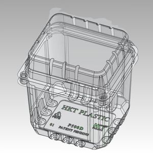 Hộp đựng hoa quả P500D