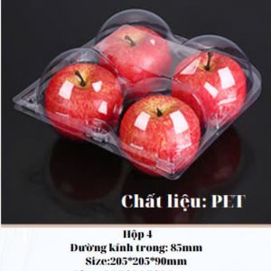 Hộp đựng táo P04