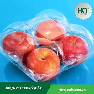 Hộp đựng táo P04