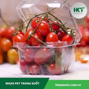 Hộp đựng hoa quả P250A