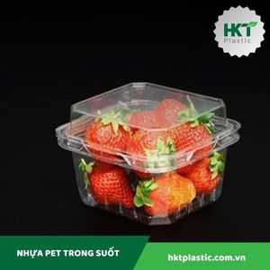 H06 hộp đựng hoa quả